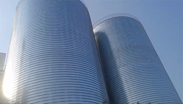 济宁2座混凝土高架卷板仓